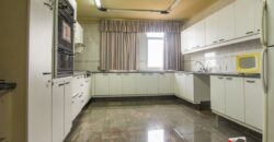 0010 PENTHOUSE EN EDIFICIO CURUPAYTY 2, BARRIO SAN ROQUE