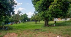 0097 TERRENO Y SALONES COMERCIALES EN ÑEMBY, ZONA ACCESO SUR