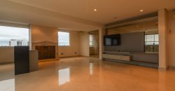 0036 PENTHOUSE EN BARRIO SAN VICENTE