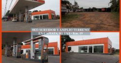 0833 SURTIDOR Y AMPLIO TERRENO EN CAPIATA