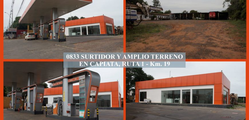 0833 SURTIDOR Y AMPLIO TERRENO EN CAPIATA