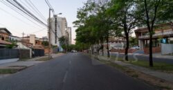 0305 TERRENO EN AVENIDA SANTA TERESA, BARRIO YCUA SATI