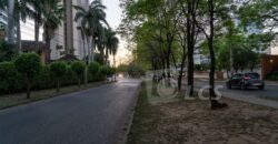 0305 TERRENO EN AVENIDA SANTA TERESA, BARRIO YCUA SATI
