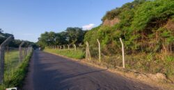 0134 TERRENO EL LAMBARE, ZONA YACHT Y GOLF CLUB