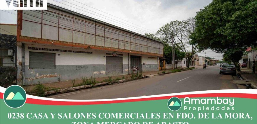 0238 CASA Y SALONES COMERCIALES EN FERNANDO DE LA MORA, ZONA MERCADO DE ABASTO