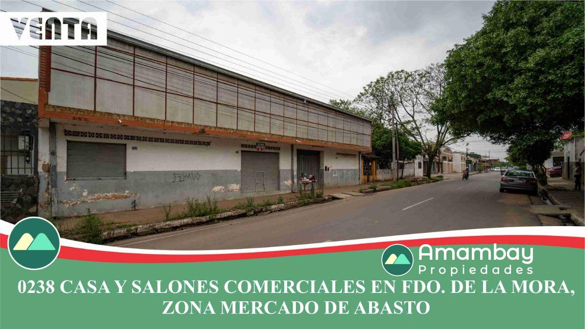 0238 CASA Y SALONES COMERCIALES EN FERNANDO DE LA MORA, ZONA MERCADO DE ABASTO