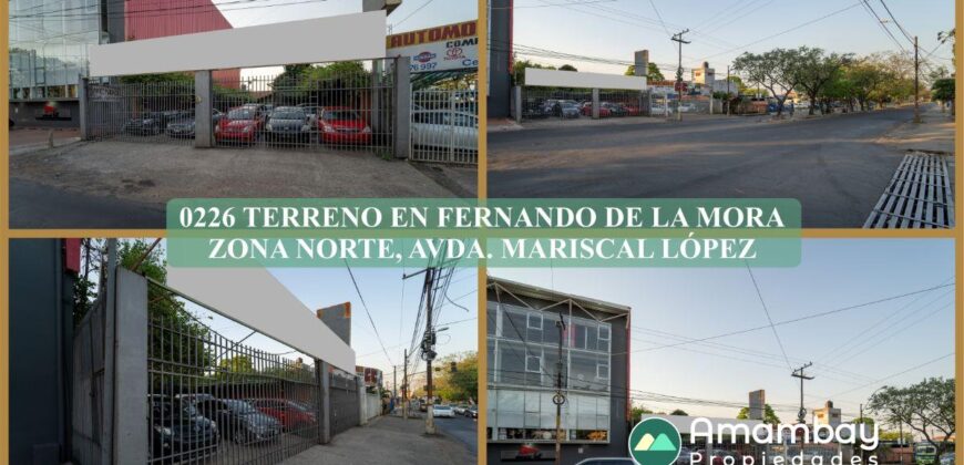 0226 TERRENO EN FERNANDO DE LA MORA, ZONA NORTE