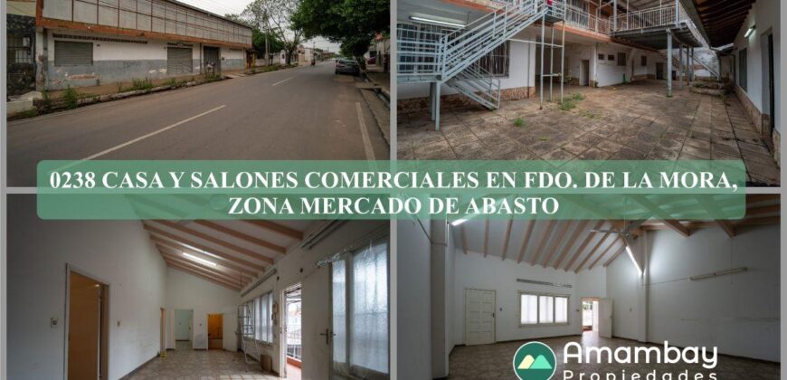0238 CASA Y SALONES COMERCIALES EN FERNANDO DE LA MORA, ZONA MERCADO DE ABASTO