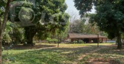 0288 TERRENO EN LAMBARÉ, ZONA AVDA. CACIQUE LAMBARÉ