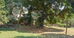 0288 TERRENO EN LAMBARÉ, ZONA AVDA. CACIQUE LAMBARÉ