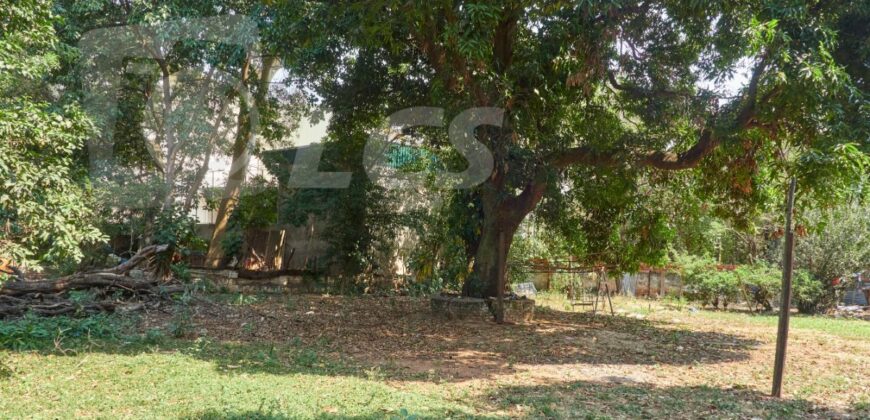 0288 TERRENO EN LAMBARÉ, ZONA AVDA. CACIQUE LAMBARÉ