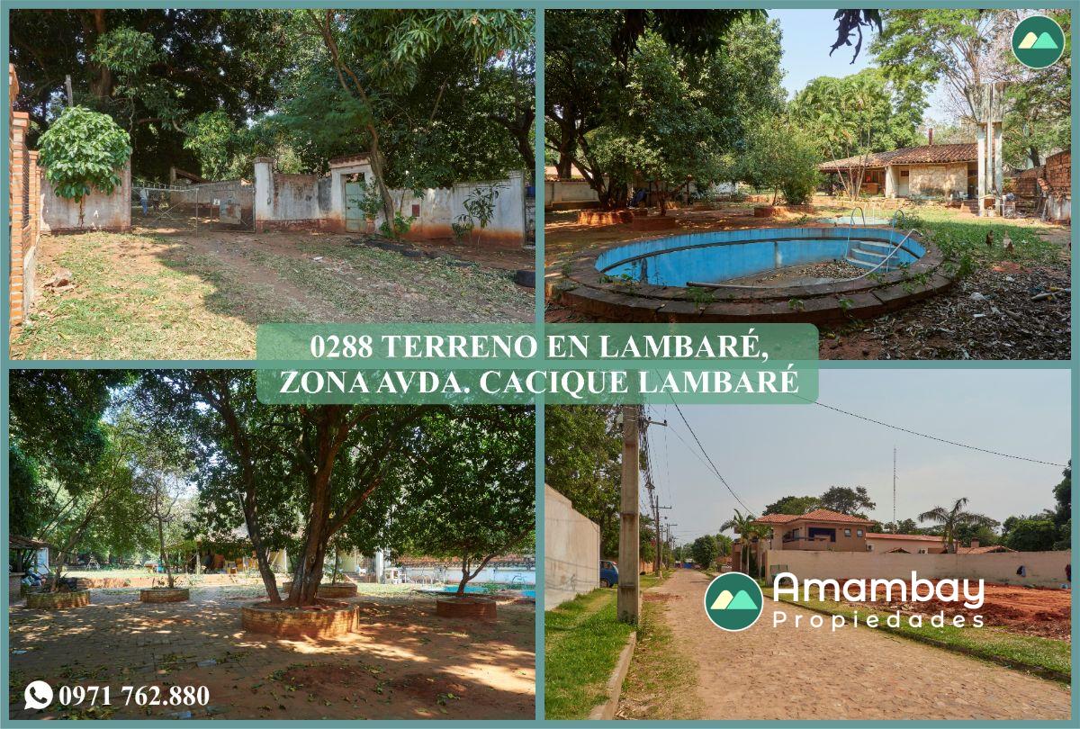 0288 TERRENO EN LAMBARÉ, ZONA AVDA. CACIQUE LAMBARÉ