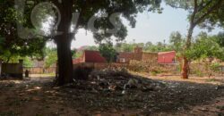 0288 TERRENO EN LAMBARÉ, ZONA AVDA. CACIQUE LAMBARÉ