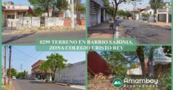 0299 TERRENO EN BARRIO SAJONIA, ZONA COLEGIO CRISTO REY