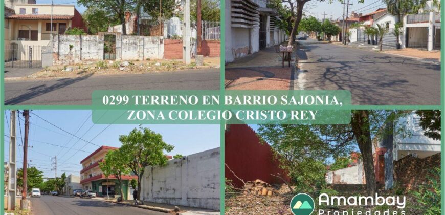 0299 TERRENO EN BARRIO SAJONIA, ZONA COLEGIO CRISTO REY