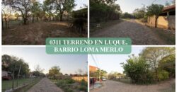 0311 TERRENO EN LUQUE, BARRIO LOMA MERLO
