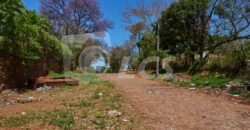 0310 TERRENO EN LAMBARÉ, BARRIO SAN ISIDRO
