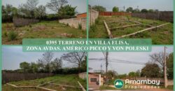 0395 TERRENO EN VILLA ELISA, ZONA AVDAS. AMÉRICO PICCO Y VON POLIESKI