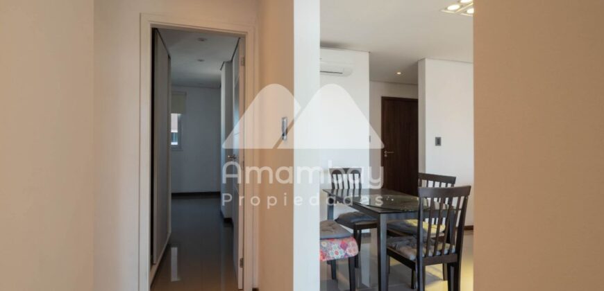 0451 DEPARTAMENTO EN BARRIO RECOLETA, ZONA SHOPPING MARISCAL
