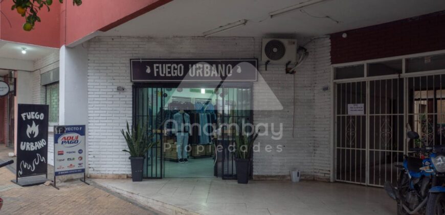 0474 EDIFICIO EN BARRIO SAN ANTONIO, A CUADRAS DEL PALACIO DE JUSTICIA