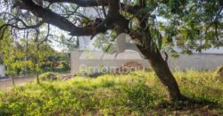 0481 TERRENO EN LAMBARÉ, ZONA AVDA. DEL YACHT