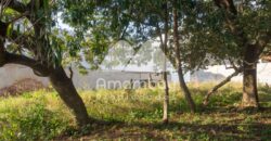 0481 TERRENO EN LAMBARÉ, ZONA AVDA. DEL YACHT