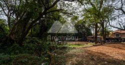 0186 TERRENO EN LAMBARÉ, ZONA AVDA. CACIQUE LAMBARÉ