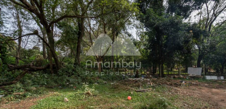 0186 TERRENO EN LAMBARÉ, ZONA AVDA. CACIQUE LAMBARÉ