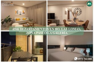 0546 DEPARTAMENTO EN Bo. LAS LOMAS, ZONA PASEO LA GALERÍA