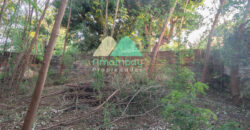 0586 TERRENO EN VILLA MORRA, ZONA CASA RICA